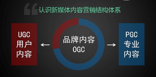 學(xué)習(xí)新媒體運(yùn)營(yíng)，把握互聯(lián)網(wǎng)銷售新機(jī)遇